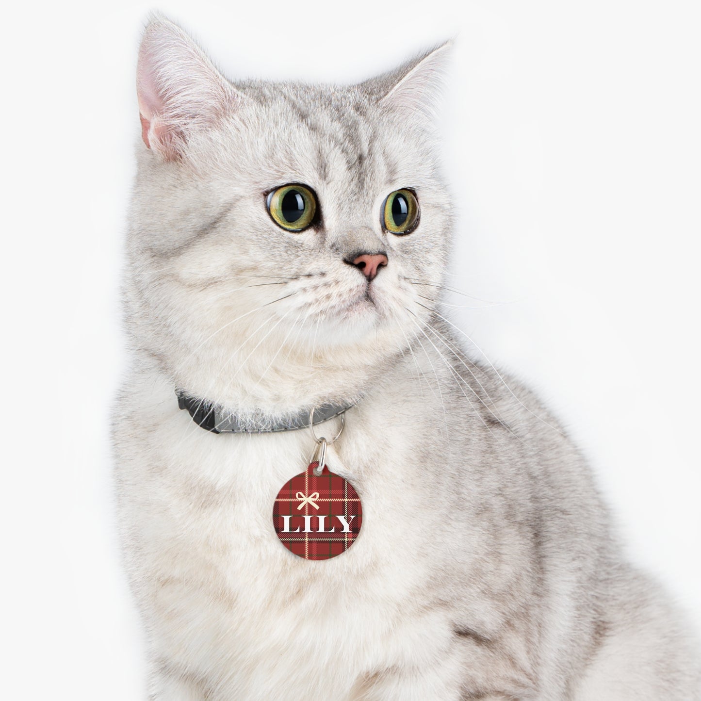 Lily Pet Tag