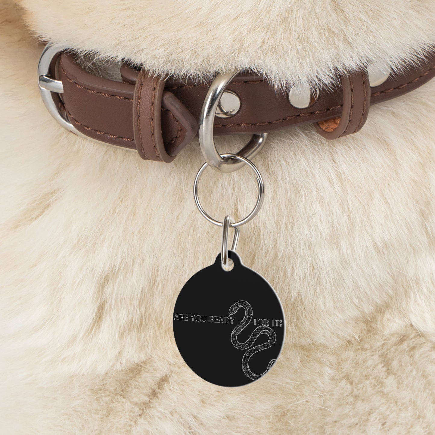 Reputation Pet Tag