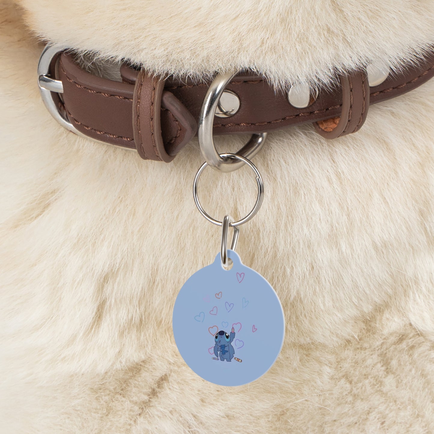 Experiment 626 Pet Tag