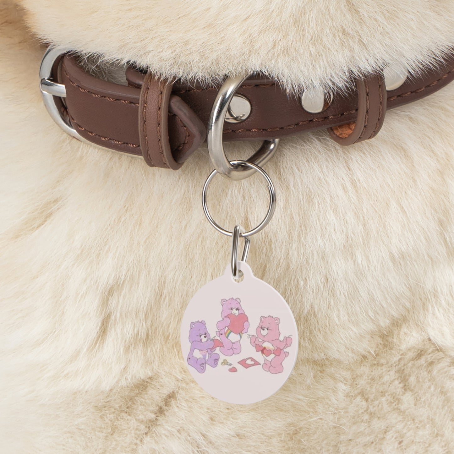 Lucy Pet Tag