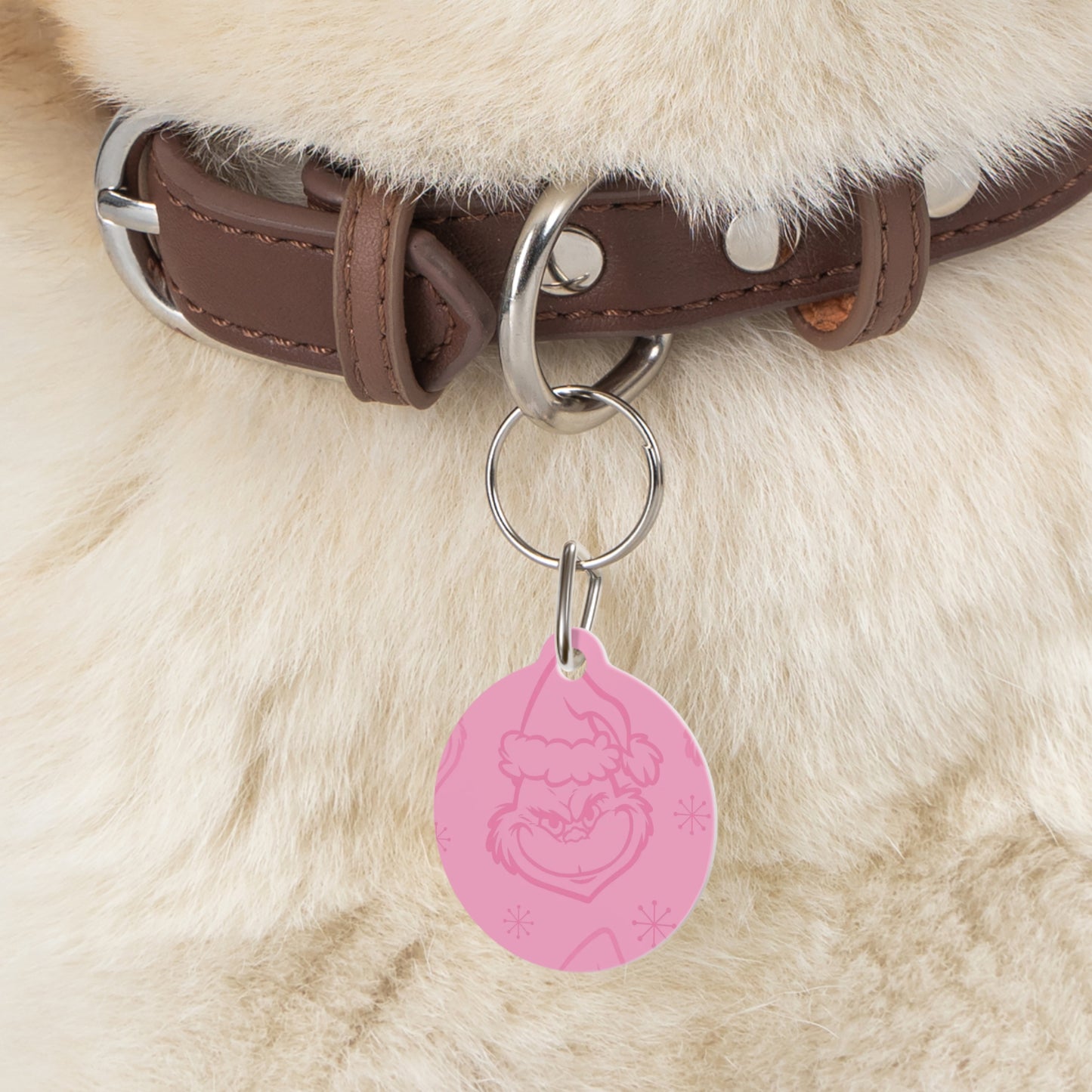 Grinch Pet Tag