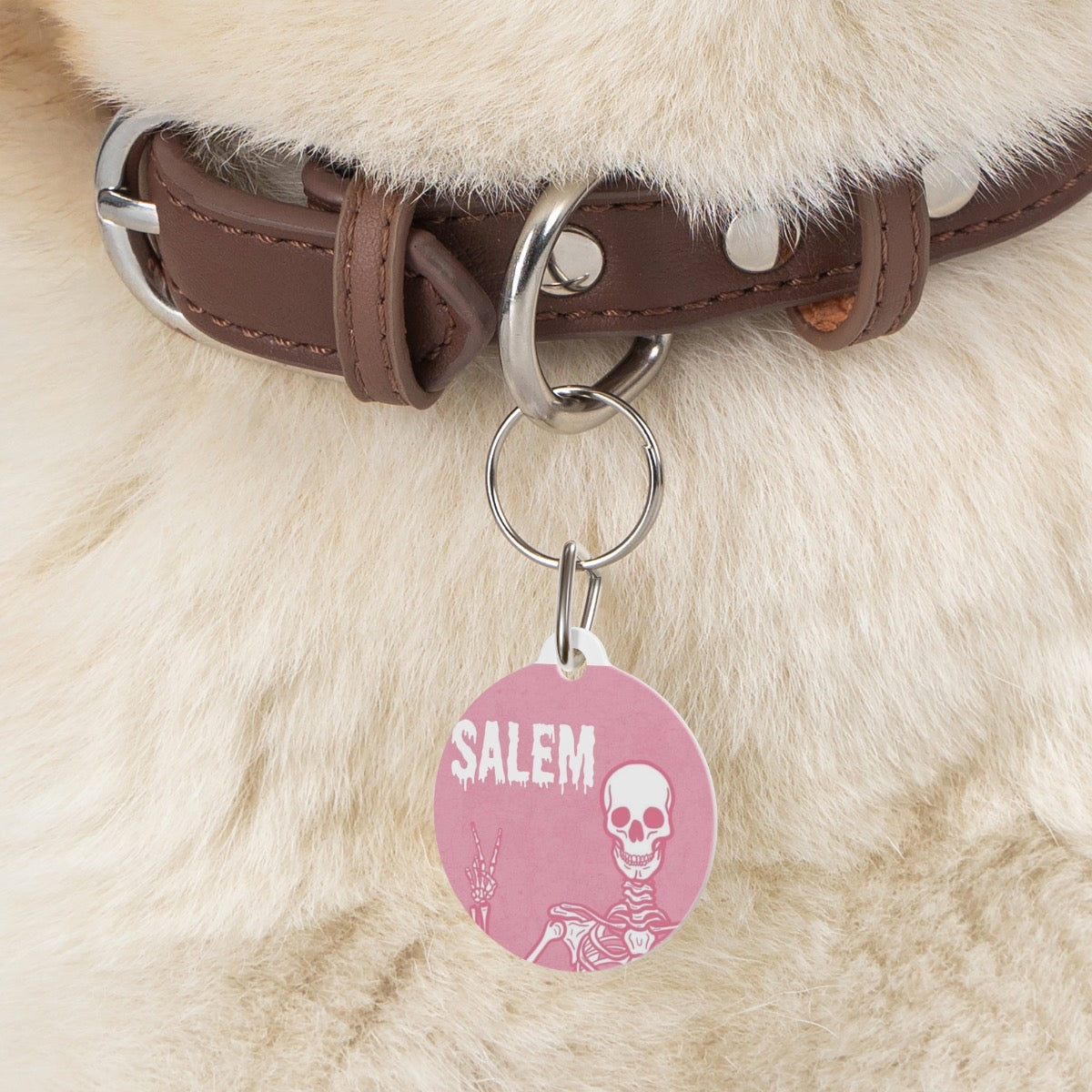 Salem custom ID Tag