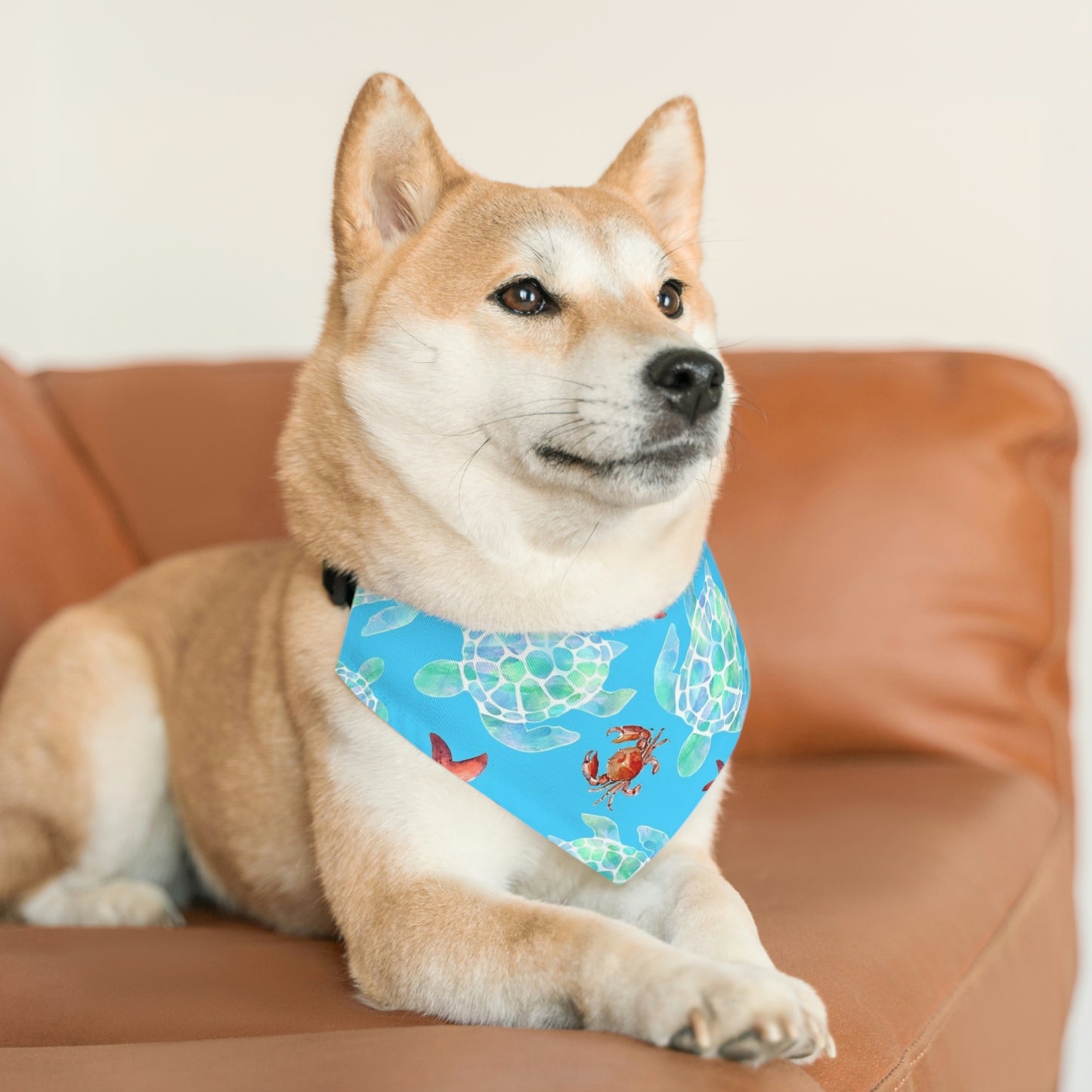 Pet Bandana Collar