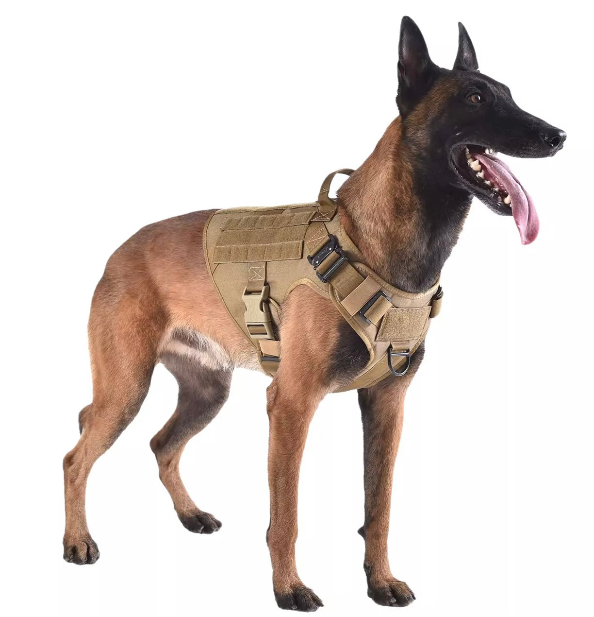 Tactical Harness