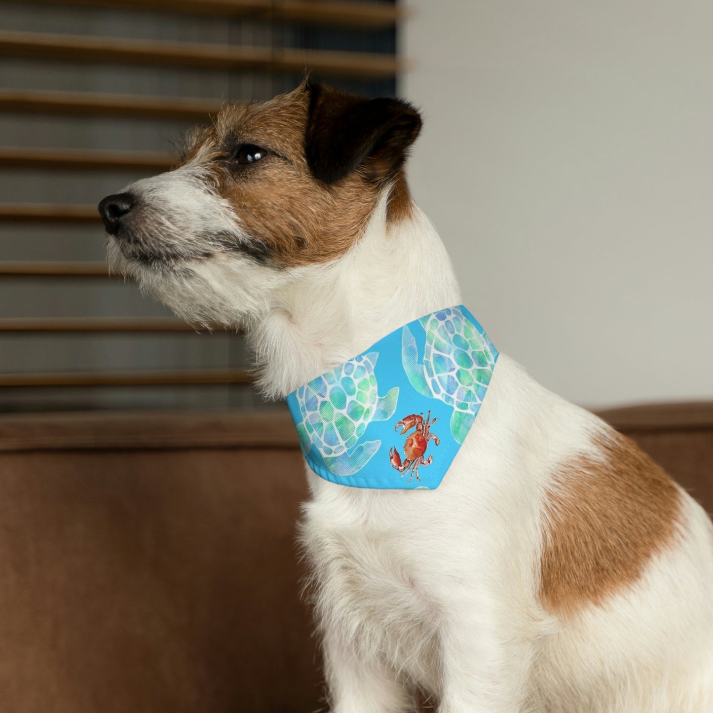 Pet Bandana Collar