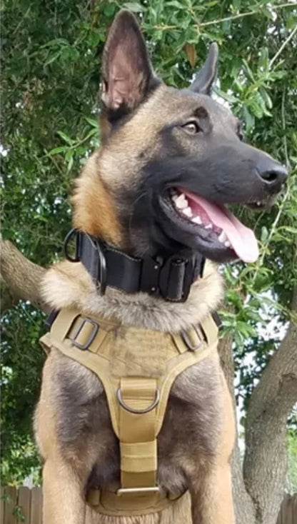 Tactical Harness