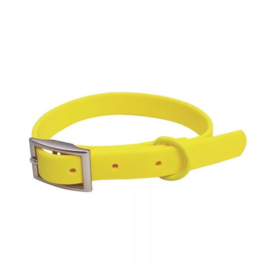 Sunshine collar