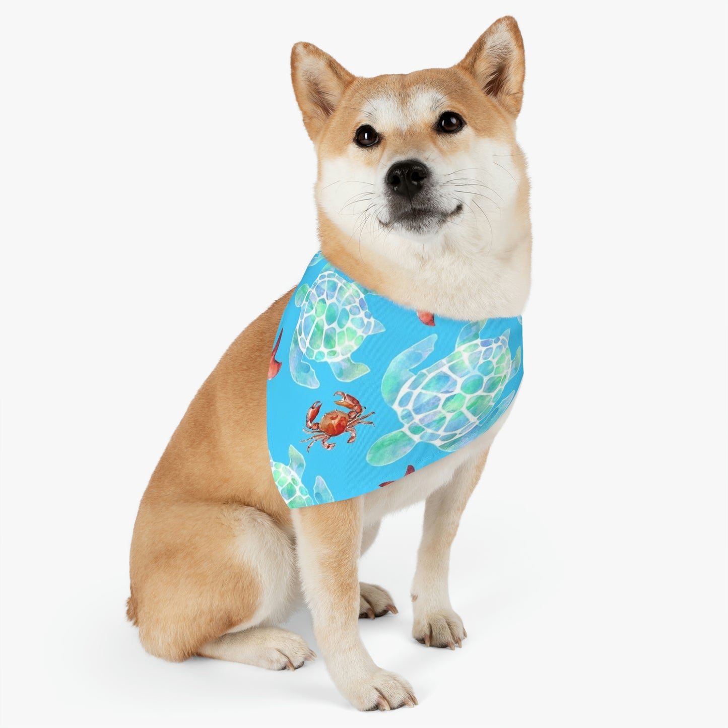 Pet Bandana Collar